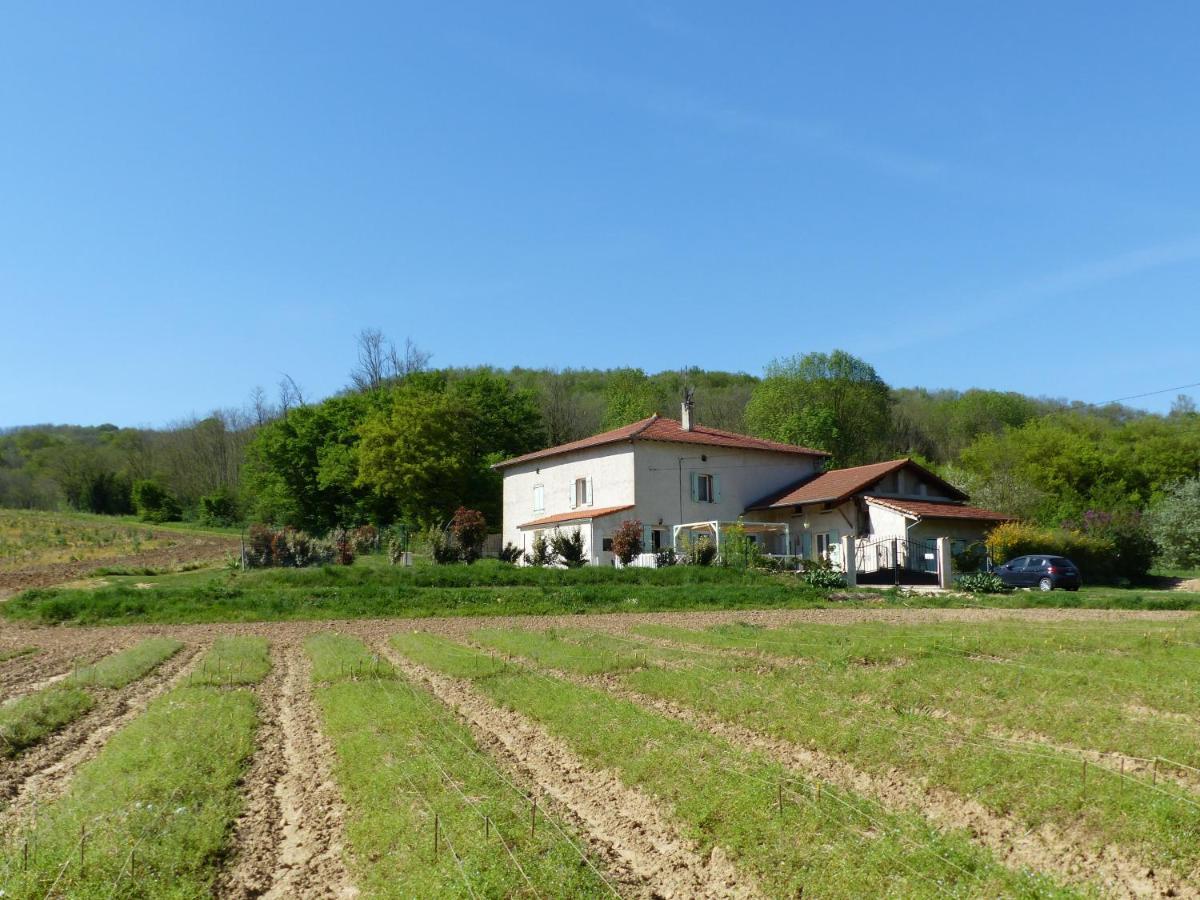 Chambre D'Hotes - Le Safran Du Val D'Or Anneyron Exterior foto